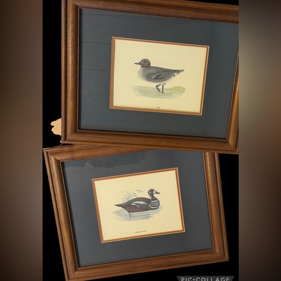 Set of 2 Framed Duck Art Prints Vintage 16x13”
